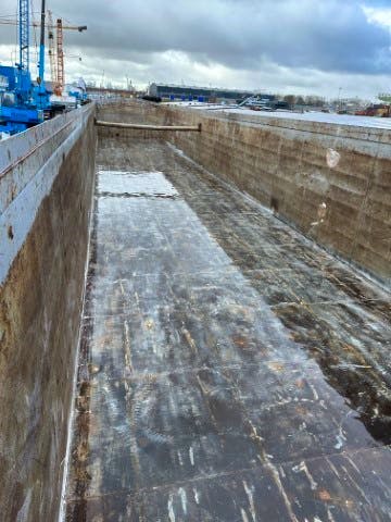 Walrus — thumbnail 3